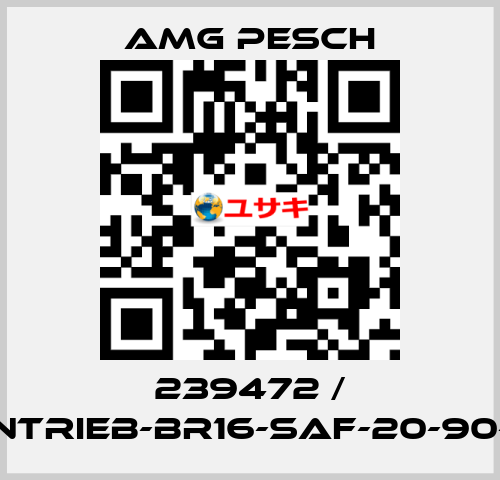 239472 / AMG-Antrieb-BR16-SAF-20-90-01-n=12 AMG Pesch