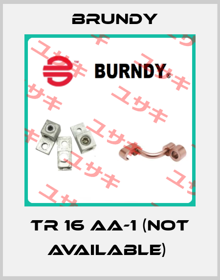 TR 16 AA-1 (Not available)  Brundy