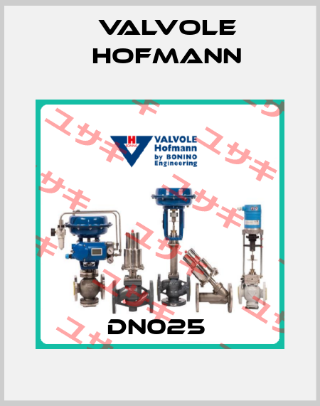 DN025  Valvole Hofmann