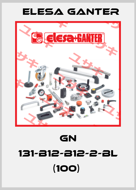 GN 131-B12-B12-2-BL (100)  Elesa Ganter