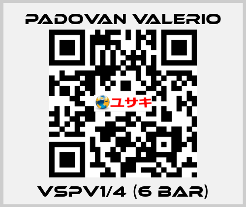 VSPV1/4 (6 bar) PADOVAN VALERIO