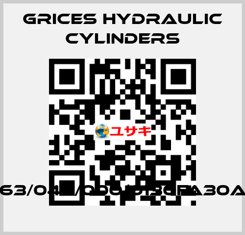 CH0063/045/000/0130FA30AIX3/S Grices Hydraulic Cylinders