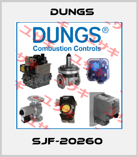 SJF-20260  Dungs