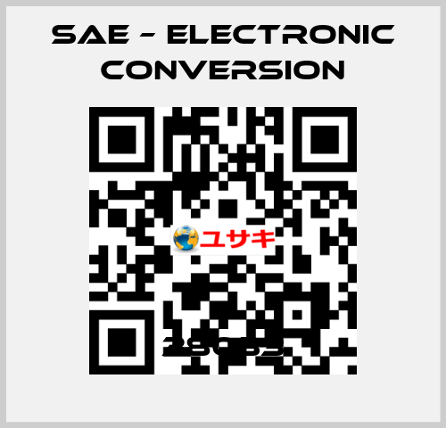38033 SAE – Electronic Conversion