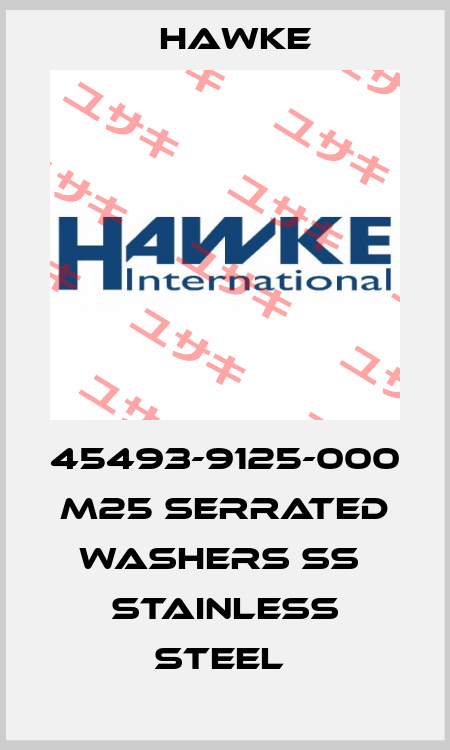45493-9125-000  M25 Serrated Washers SS  Stainless Steel  Hawke