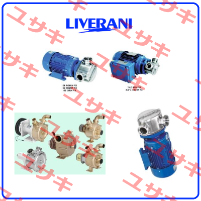 63243000 / MINIVERTER MIDEX 1"1/4 STANDARD Liverani