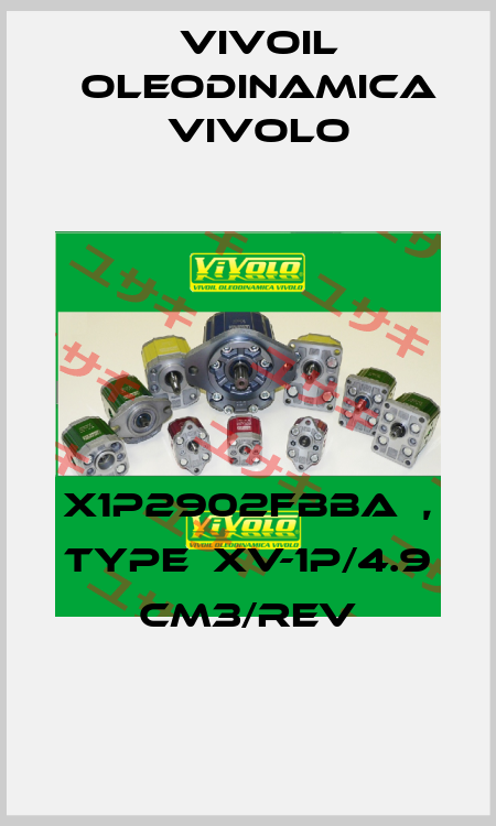 X1P2902FBBA  , type  XV-1P/4.9 cm3/rev Vivoil Oleodinamica Vivolo
