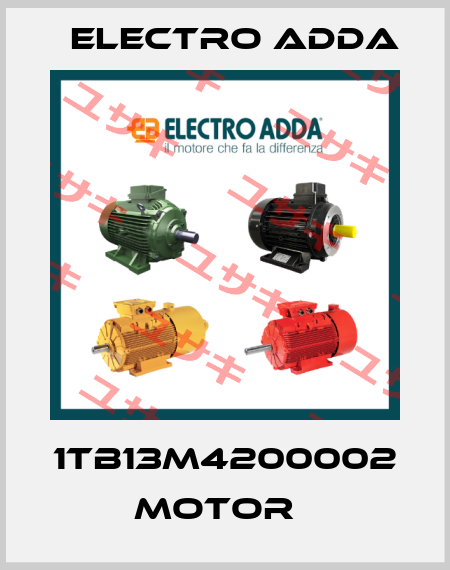 1TB13M4200002 Motor   Electro Adda