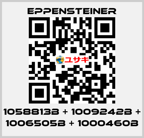 1058813B + 1009242B + 1006505B + 1000460B Eppensteiner