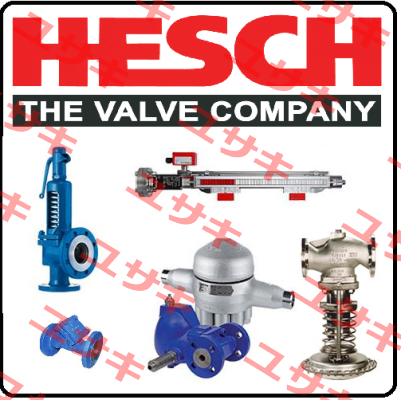 FLS 625002  Hesch