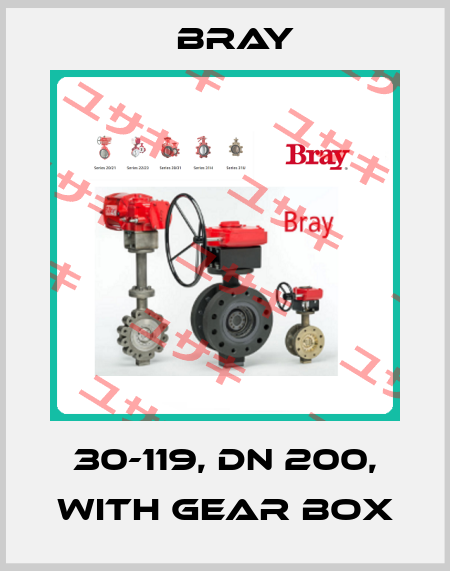 30-119, DN 200, with gear box Bray