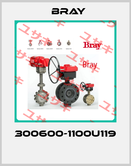 300600-1100U119  Bray