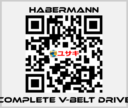 Complete V-belt drive HABERMANN