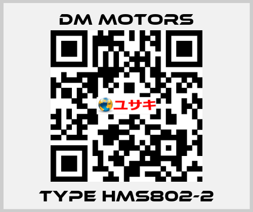 Type HMS802-2 DM Motors