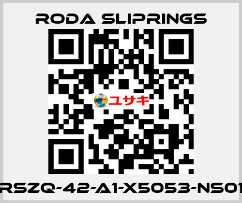 RSZQ-42-A1-X5053-NS01 Roda Sliprings