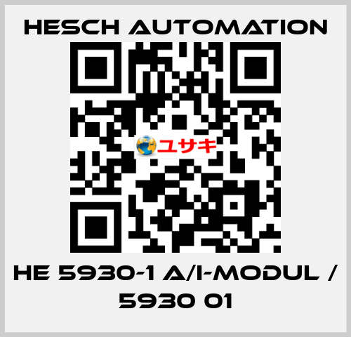 HE 5930-1 A/I-Modul / 5930 01 Hesch Automation