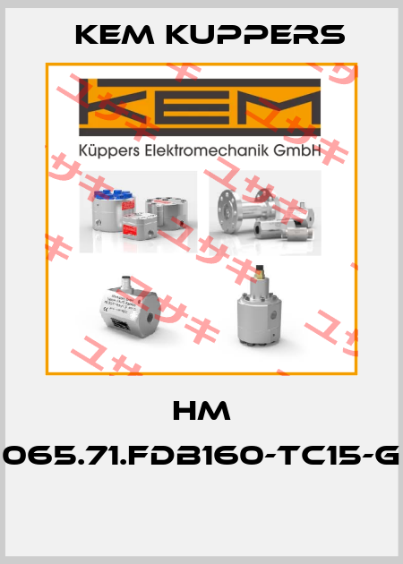 HM 065.71.FDB160-TC15-G  Kem Kuppers