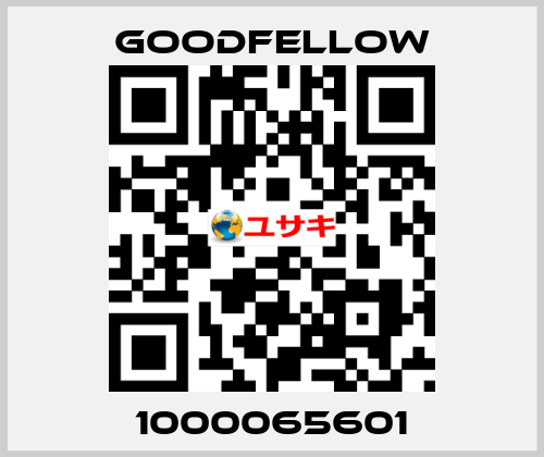 1000065601 Goodfellow