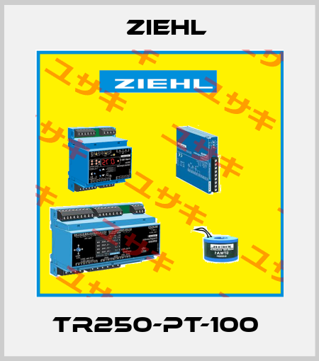 TR250-PT-100  Ziehl