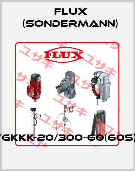 RM-PP-VGKKK-20/300-60(60S)-1,5/3-IE2 Flux (Sondermann)