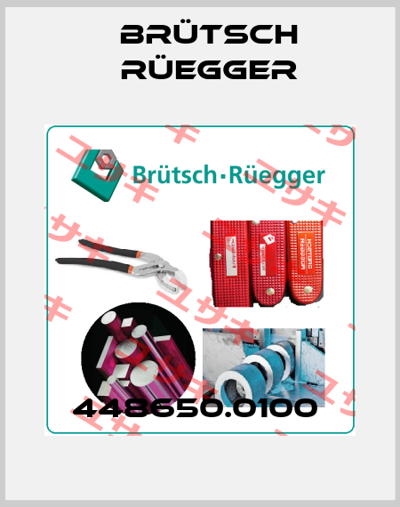 448650.0100  Brütsch Rüegger