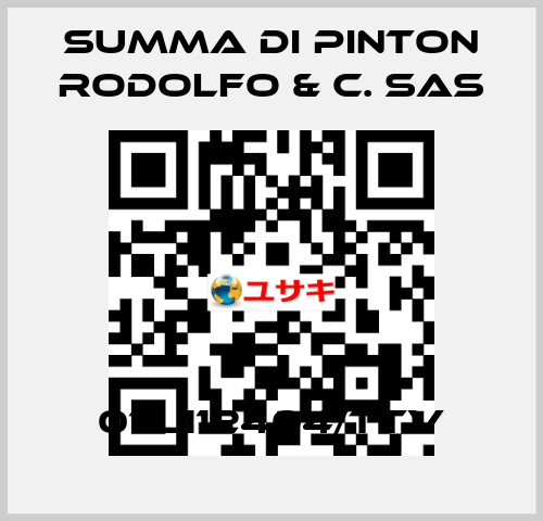 07L112404/TTV Summa Di Pinton Rodolfo & C. Sas