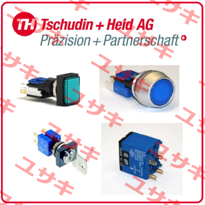 TH511008 000  Tschudin Heid