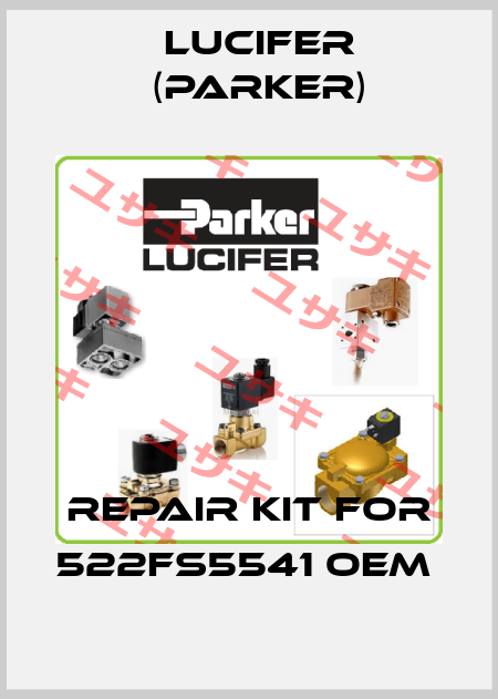 Repair kit for 522FS5541 OEM  Lucifer (Parker)