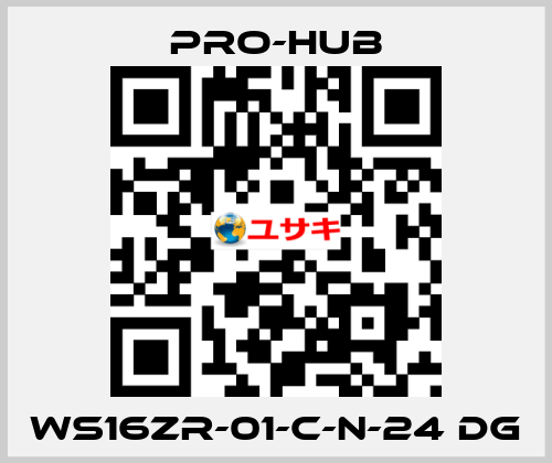 WS16ZR-01-C-N-24 DG Pro-Hub