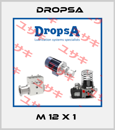 M 12 X 1  Dropsa