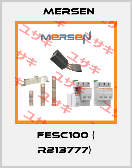 FESC100 ( R213777)  Mersen