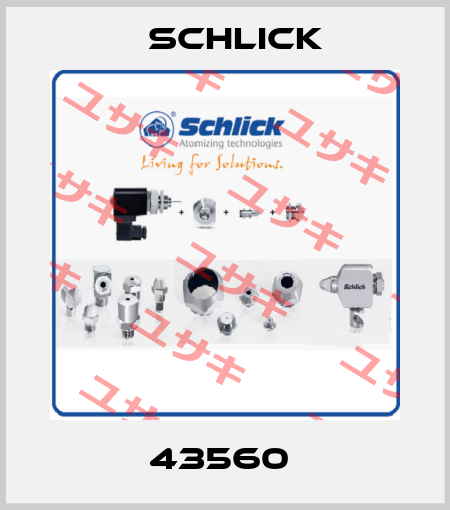 43560  Schlick