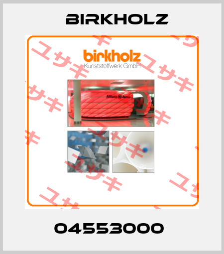 04553000  Birkholz