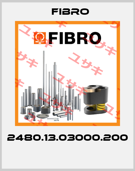 2480.13.03000.200  Fibro