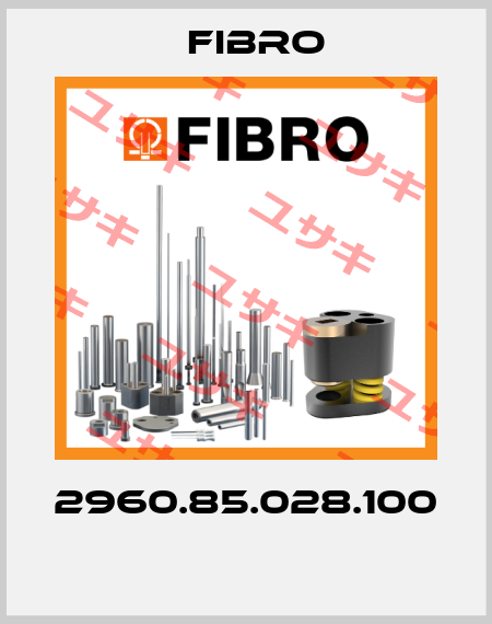 2960.85.028.100  Fibro