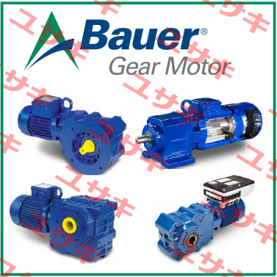 BM2-6-28  Bauer