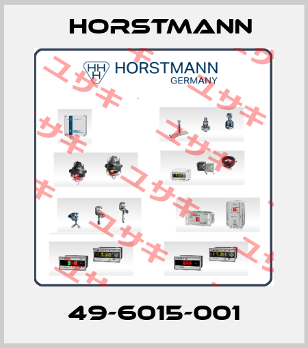 49-6015-001 Horstmann