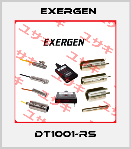 DT1001-RS Exergen