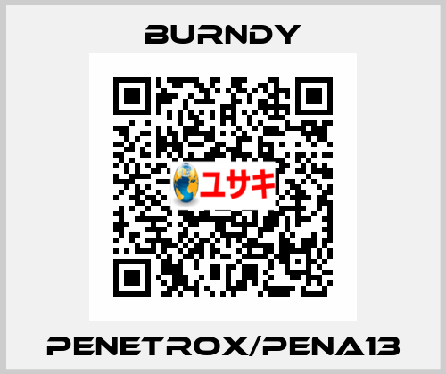 PENETROX/PENA13 Burndy
