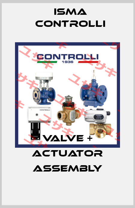 Valve + Actuator assembly iSMA CONTROLLI