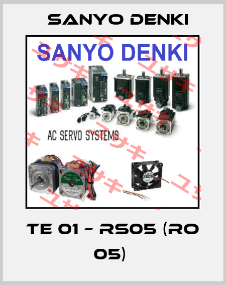 TE 01 – RS05 (RO 05)  Sanyo Denki