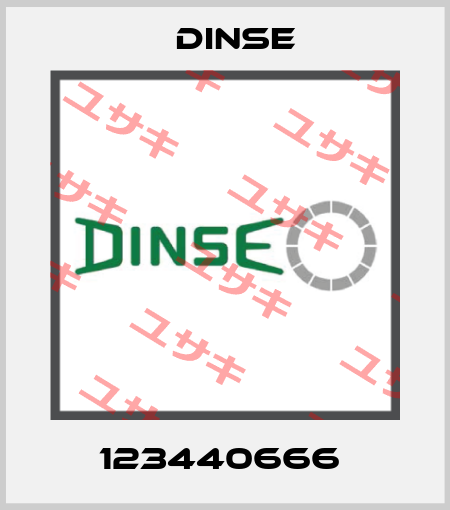 123440666  Dinse