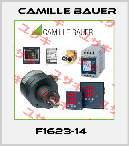 F1623-14   Camille Bauer