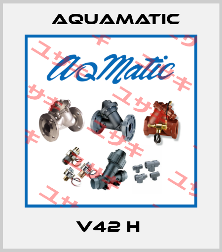 V42 H  AquaMatic