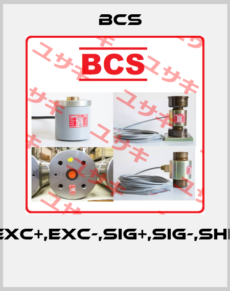 LC1(EXC+,EXC-,SIG+,SIG-,Shield)  Bcs