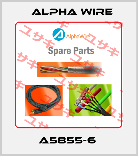 A5855-6  Alpha Wire