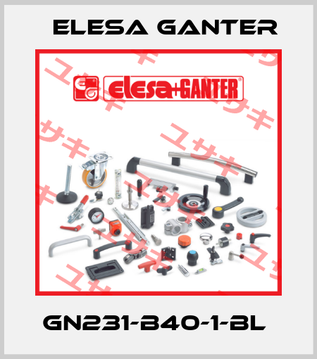 GN231-B40-1-BL  Elesa Ganter