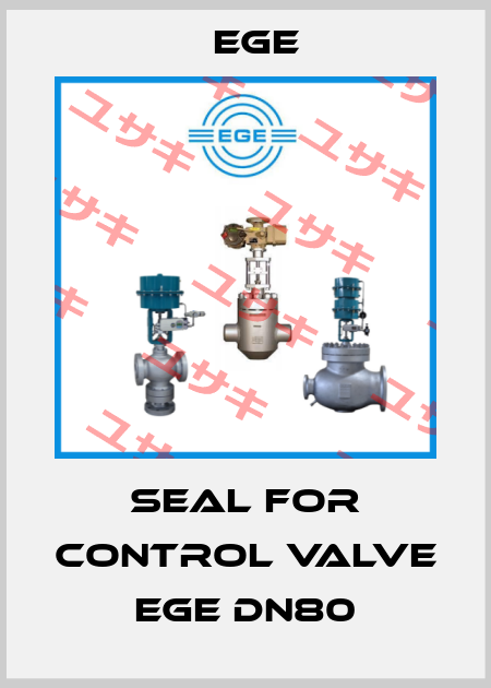 Seal for Control Valve EGE DN80 Ege