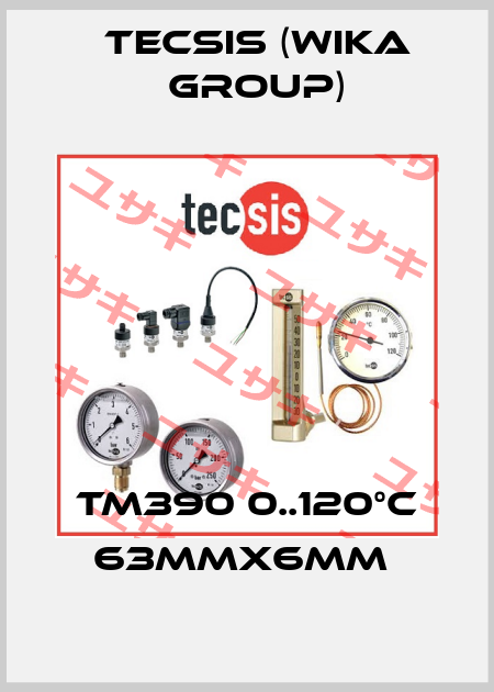 TM390 0..120°C 63mmx6mm  Tecsis (WIKA Group)