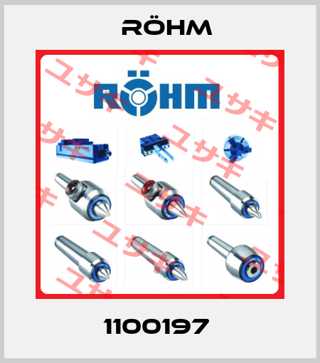 1100197  Röhm